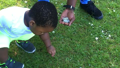 Picking flowers