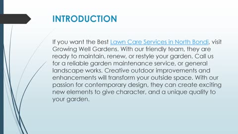 Best Lawn Care Services in North Bondi