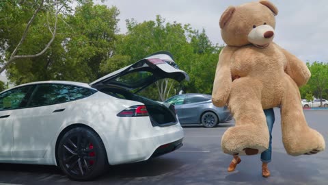 teddy bear fs tesla