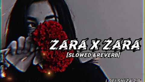 Zara x Zara Behekta Hai | [Slowed & Reverb]