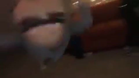 Guy at party does a back flip and fails, lands on head