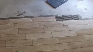 master bedroom tile high angle