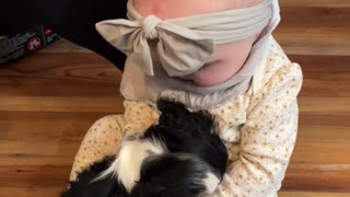 Puppy and Baby Become Fast Friends