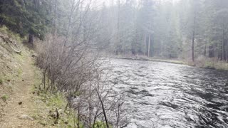 Exploring West Metolius River Trail towards Candle Creek Campground – Central Oregon – 4K