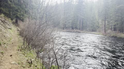 Exploring West Metolius River Trail towards Candle Creek Campground – Central Oregon – 4K