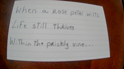 "When a Rose Petal Wilts" a Haiku with audio (hopefully)