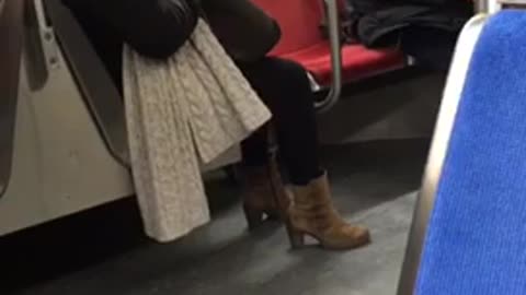 Rat slips into mans jacket on subway train