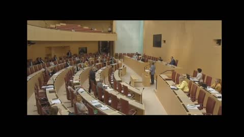 AfD Politiker trägt Maske im Landtag und wird gerügt