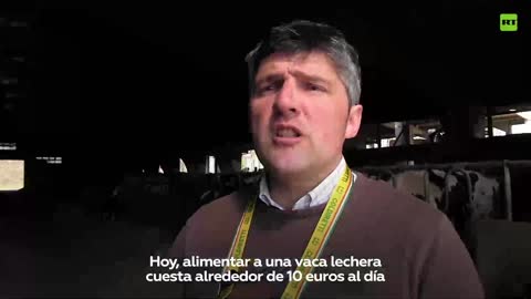 Italia: Agricoltori sull'orlo del fallimento a causa della crisi economica.Molti agricoltori sono stati costretti a interrompere la loro attività a causa dei prezzi elevati dei prodotti che usano per nutrire i loro animali.