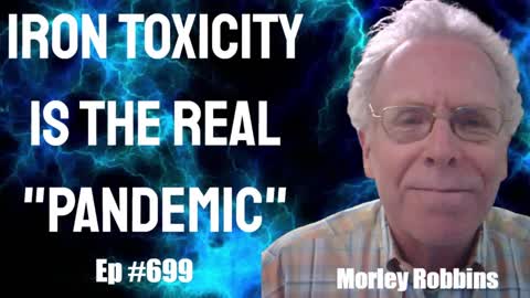 Morley Robbins - The Real "Pandemic" is Iron Toxicity!!