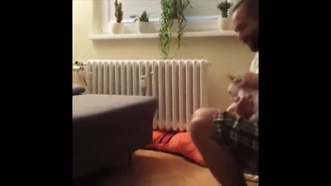 Little Puppy Loves Jumping...SO CUTE