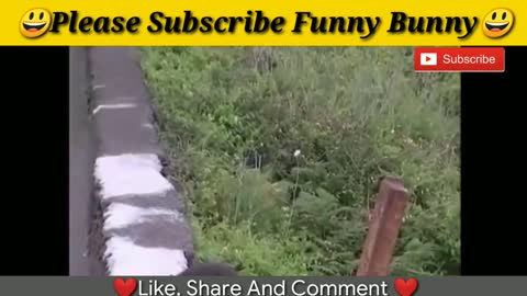 Best funny videos 2020 Most awesome