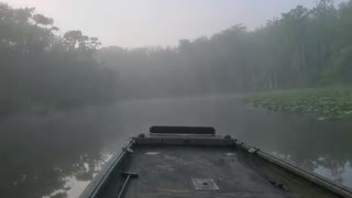 River Fog