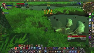World of Warcraft Classic Hunter With my paladin (wife) questing in the crater and more