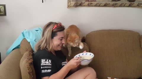 Rescue kitten Edmond eating my breakfast!