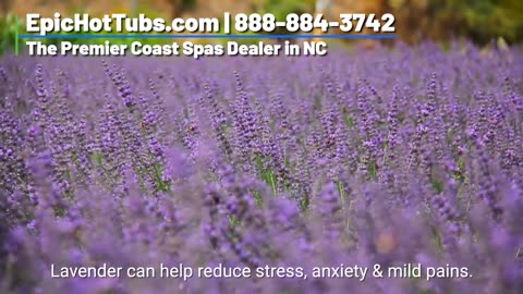 Hot Tub Aromatherapy | Coast Spas Dealer in North Carolina