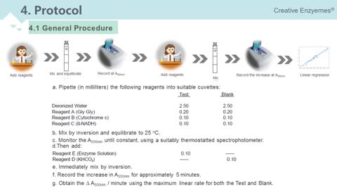 Enzymology Assays at Creative Enzymes