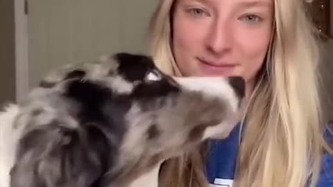 Dogs react to kisses - Love more is the lesson 1 min 7 sed