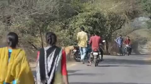 🔴Shocking Video of Lions On Road