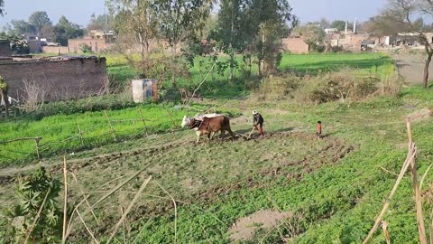 Life Of Poor People In India | Daily Routine In India | Village Life Of Uttar Pradesh | #UP