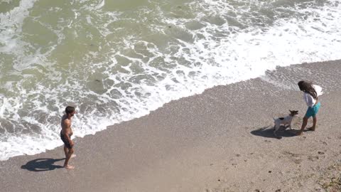 Playing with the dog on the beach