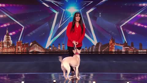 udges Cry Over Emotional Dog Magic Act on Britain's Got Talent 2020 | Magician's Got Talent