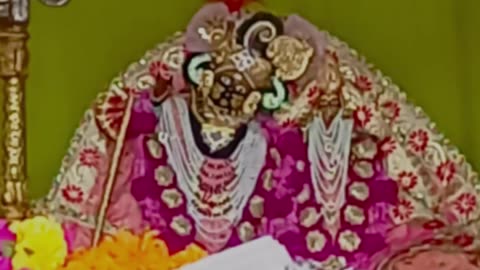 Live Radha Rani Temple Barsana Ladli Ji Maharaj India