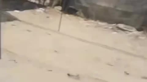 The moment a school was targeted in Deir al-Balah