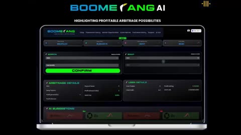 BOOMERANG - NOTHING LIKE IT OUT THERE - AI BOT CRYPTO ARBITRAGE PROFIT SYSTEMS - TOP TEAM ROB BUSER