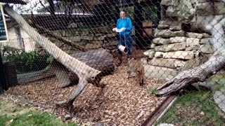 Rufus at Riverside Park in Wichita Kansas