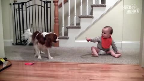 30 Funniest Cute Baby Compilation Fun and Fails Baby Video