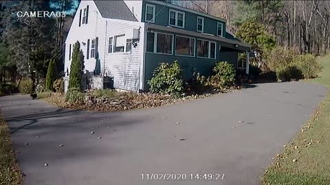 Wind Sends Tree Falling into House