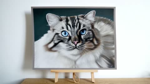 Time-Lapse Drawing of A Photo Realistic Cat
