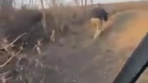 Ukrainian soldier shot anti tank missile at Russian vehicle