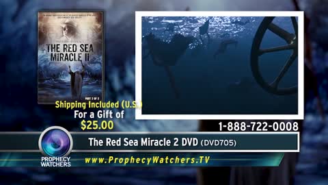 Tim Mahoney- Chariot Wheels at the Bottom of the Red Sea!