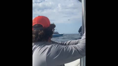 Saved Two Frigate Birds While Fishing