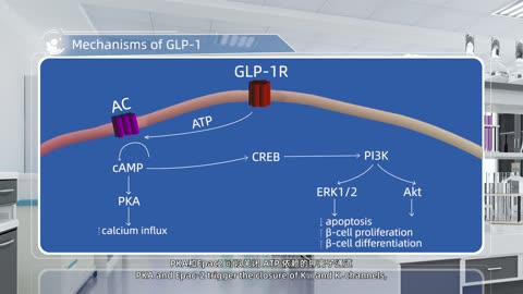 Mechanisms of GLP-1