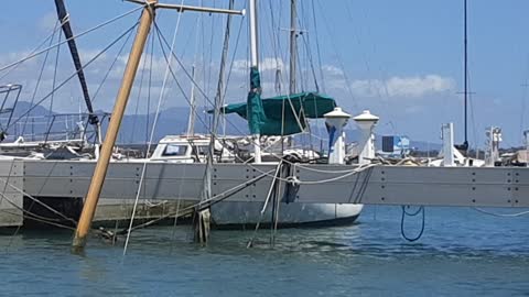 Sunk Yacht