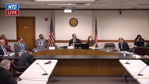 Closing Statements During Georgia Senate Hearing on Election Issues