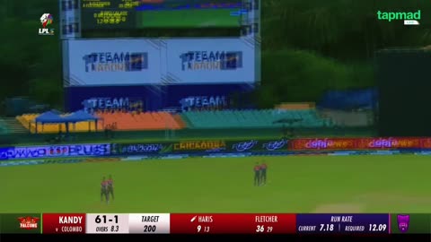 Cricket crazy video