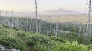 Strategizing Your Approach to Hiking Three Fingered Jack Loop – Central Oregon – 4K