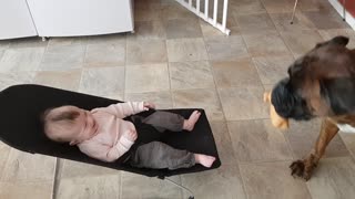 Boxer Has Baby And Mom Cracking Up With His Performance, The Belly Laughs Are Epic