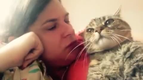 Talking cat says NO! to kisses on the head