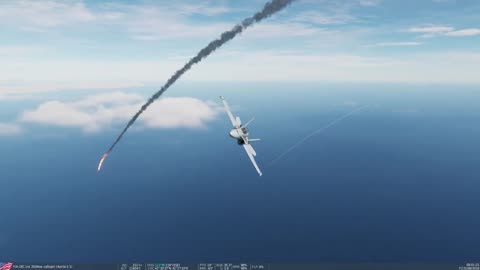 F-18 vs Su-27 dogfight