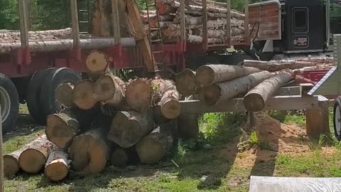 Logger Unloading