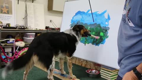 DOG TRIES TO HELP IN PAINTING :)