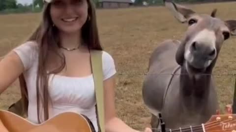 Delightful Donkey Loves Music