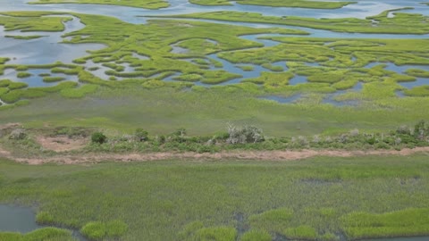 Above the marsh