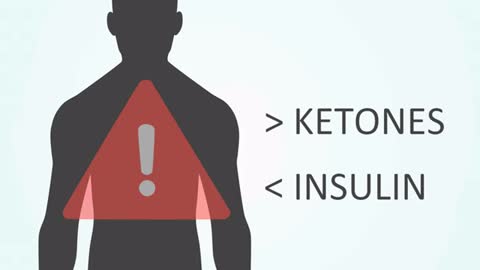 Go on a Ketogenic Diet