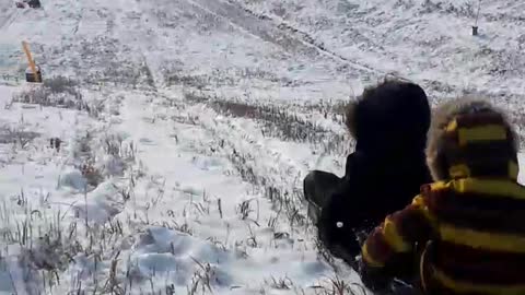 Sledding on a big hill